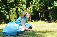 Kino Światowid: Lily