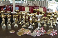 MEGAzlot motoryzacyjny