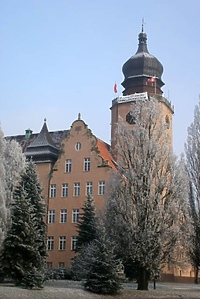 Miasto chce ulżyć przedsiębiorcom