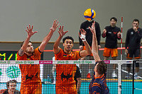 Nietoperze nie doleciały do punktów