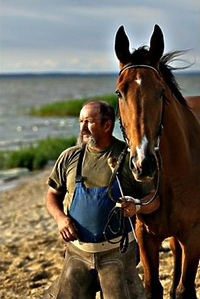Koń, jaki jest każdy widzi
