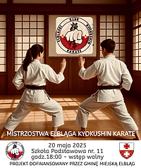 Mistrzostwa karate w Elblągu