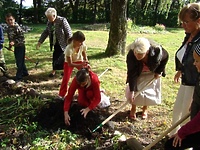 Młodzież sadzi żonkile