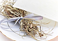 Moc wigilijnych tradycji