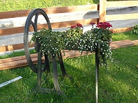 Mój jest ten kawałek ogrodu