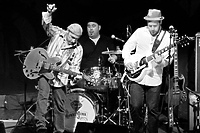 Monkey Junk - blues to ich życie