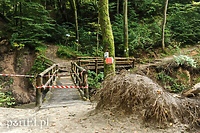 Kto odbuduje Mostek Elewów?