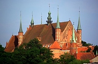Muzyka w katedrze