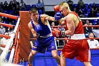 Tygrysy walczyły w ringu