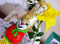 Na Pomorzu i Żuławach królował zajączek