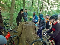 Na spacer z leśnikiem