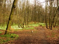 Sobota z przewodnikiem na szlaku