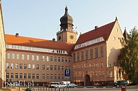 Nagrody i wyróżnienia dla sportowców