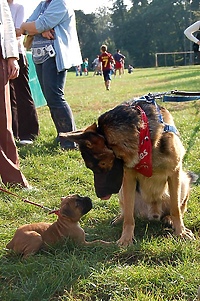 Najpiękniejsze i najzdolniejsze