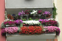 Najpiękniejszy balkon