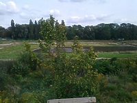 A może bania... (pół żartem, pół serio)