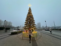 Nareszcie weekend: Wystawy, taniec i promocja książki o Elblągu