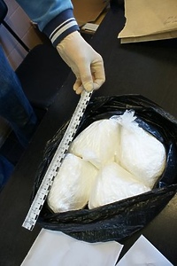 Narkotyki mieli ukryte w plecaku