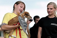 Nasi czworonożni przyjaciele