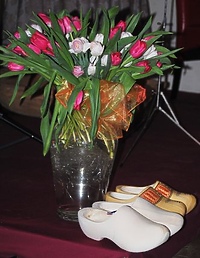 Niderlandzkie klimaty