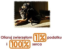 Nie bądź obojętny!