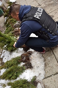 Nieudany pomysł na biznes