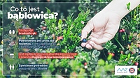 Niewidoczne zagrożenie - bąblowica