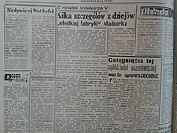 Nigdy więcej Stutthofu!