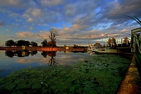 O Żuławach na dużym ekranie