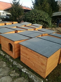 Nowe budy dla psów z elbląskiego schroniska