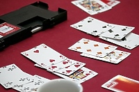 O Błękitną Wstęgę Mierzei Wiślanej