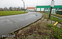 A stary tor cierpliwie czeka