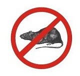 Obowiązkowa deratyzacja