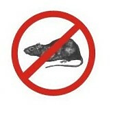 Obowiązkowa deratyzacja