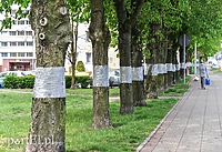 W obronie przed szrotówkiem