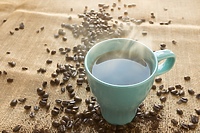 Oleje z konopi i ich miejsce w medycynie