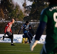 Olimpia gromi Jaguara