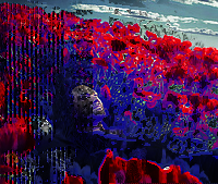 Opera w Światowidzie: wygraj zaproszenie