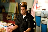 Opowieści na dobranoc