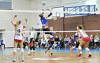 Orzeł znów zwyciężył (siatkówka)