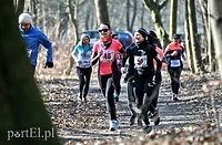 Ostatnie dni zapisów na wiosenny półmaraton Elaktywnych