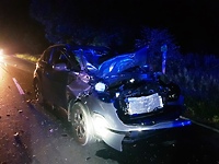 Oto skutki zderzenia z łosiem