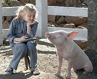 Pajęczyna Charlotty