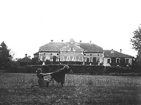 Historia okolic Elbląga: Bałoszyce i Januszewo (odc. 199)