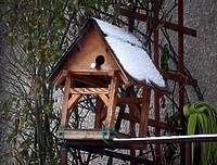 Pamiętajmy o ptakach