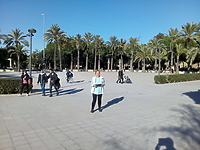 Remontowanie czy pacykowanie  (copiątkowy felieton Marii Kasprzyckiej)