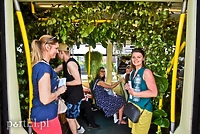 Wsiadasz do tramwaju, a tam..."dżungla"