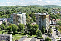 Patronów nie brak, ale ulic owszem