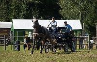 Piknik zaprzęgowy na Dzień Dziecka