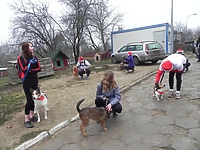 Znowu pobiegli na sześć łap